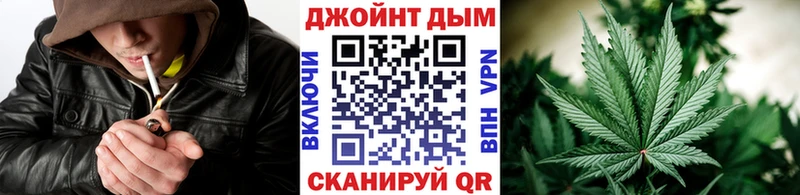 где купить наркоту  Макарьев  Шишки марихуана план 